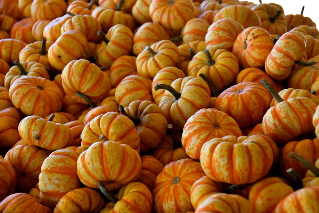 découvrez l'univers mystique d'halloween, où frissons et surprises se mêlent. plongez dans l'histoire de cette fête emblématique, explorez des idées de costumes terrifiants, des recettes d'horreur et des activités pour frayer dans la nuit d'halloween. préparez-vous pour une soirée mémorable pleine de bonbons et de frayeurs !